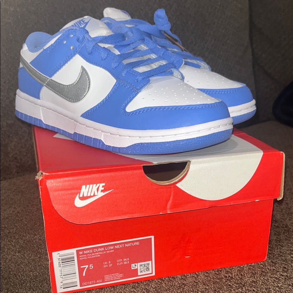 Nike Dunk Low Blue and White with Silver Swoosh